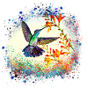 hummingbird, graffiti,painting, flowers,bird,painting,