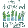 Plante plantes plantes jardinage conception