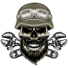 Motorcycle Beard Skull