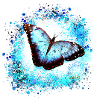papillon ,bleu ,graffiti,turquoise,peinture