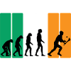 The Evolution of Hurling