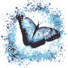 butterfly ,blue ,graffiti,turquoise,painting