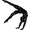 Gymnastics, Gymnast Galaxy