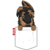 German Shepherd Pocket