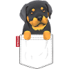 Rotweiller Pocket