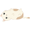 sweet reclining cat