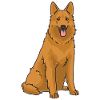 Harzer Fuchs Dog