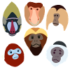 Monkeys