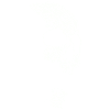 Nasty Monster Skull