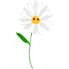 Flower priest's collar