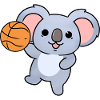 Basket-ball koala