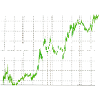 Investor
