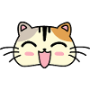 Cat face laughter