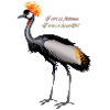 Beautiful bird