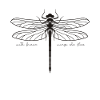 Dragonfly lover | Dragonfly insect entomology