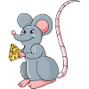 mouse