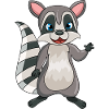 raccoon