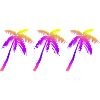 Palm trees