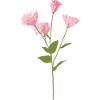 Pink Flower