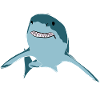 great white shark