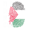 Free Palestine Palestina Liberté