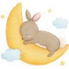 Hare on moon with stars