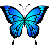Blue Butterfly