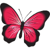 Red butterfly