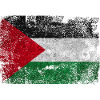 Palestinian Flag Grunge Texture