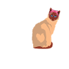 Birmanie Chats Lady