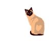 Ragdoll Cats Lady