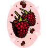 raspberries