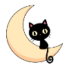 sweet cat on moon,cat,moon