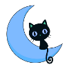 mignon chat avec lune,chat,lune
