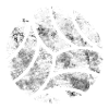 Volley ball