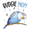 budgerigar