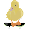 duckling