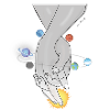 My Universe