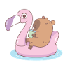 Sød Capybara slapper af på Flamingo Pool Float