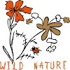 Meadows flowers with ladybugs, wild nature