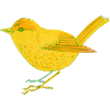 Yellow Bird