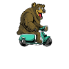 Scooter knallert scooter