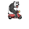 Scooter Moped Moped Scooter