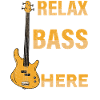 Basse-Guitare Bassist