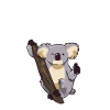 Totally Koalafied