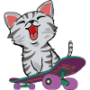CAT ON SKATEBOARD