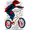 Cool BMX Bike | BMX Bike
