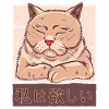 Chat japonais fatigué