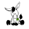 Ânes au trèfle vert