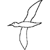 seagulls,birds,sea,beach,gift,funny,cool,trend